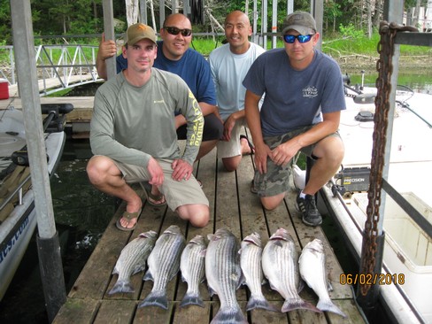Nice Striped Bass